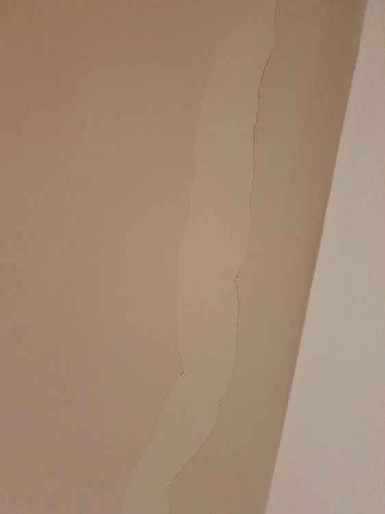 Verputz löst sich von Decke, was tun? - Renovation & Sanierung - Houzy