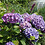 babsi_70